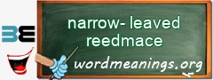 WordMeaning blackboard for narrow-leaved reedmace
